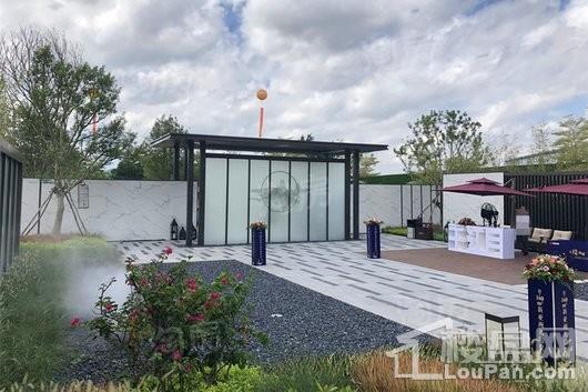 东旭千江月实景图