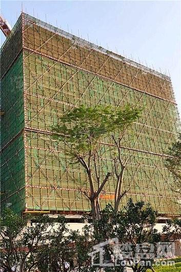 实景图
