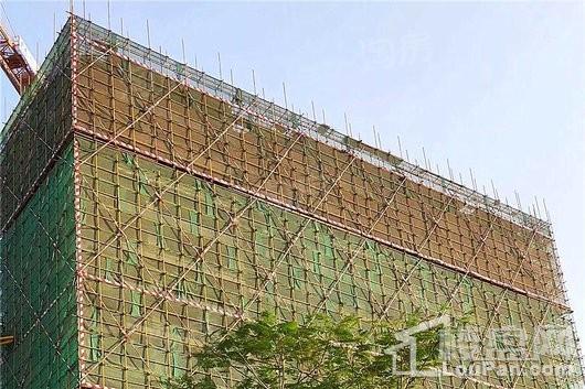 中洲理想仓实景图