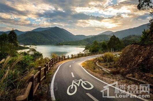 碧桂园森林湖实景图