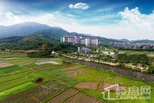 碧桂园森林湖实景图