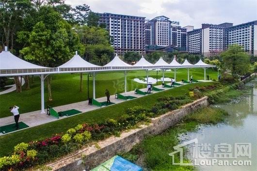 碧桂园森林湖实景图