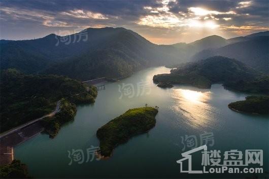 碧桂园森林湖实景图