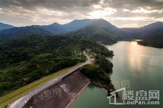 碧桂园森林湖实景图