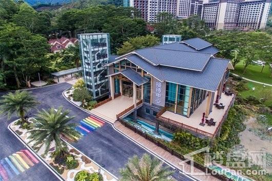 碧桂园森林湖实景图