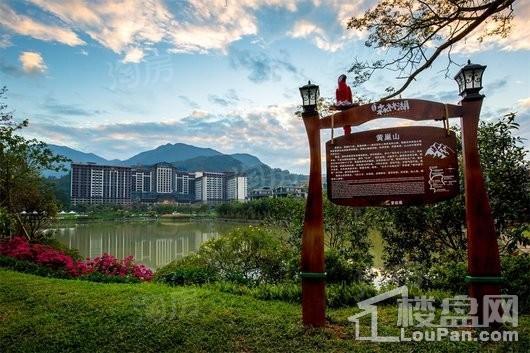 碧桂园森林湖实景图