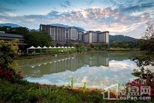 碧桂园森林湖实景图