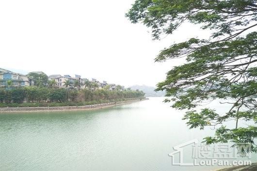 碧桂园森林湖配套图