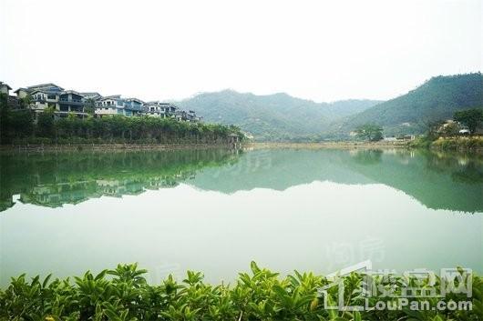 碧桂园森林湖配套图