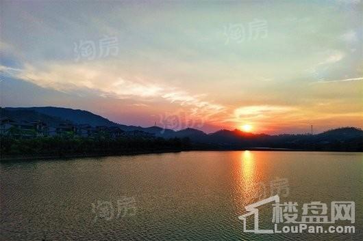 碧桂园森林湖配套图