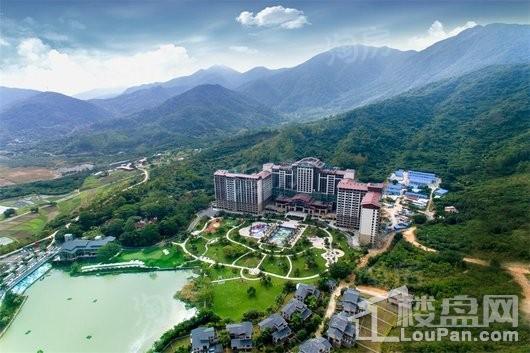 碧桂园森林湖配套图