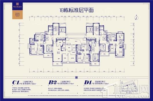 户型图片