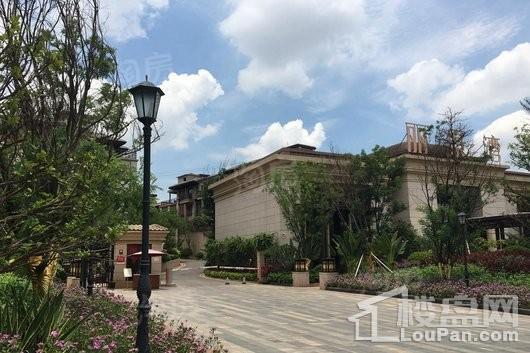 阳光城丽景湾实景图