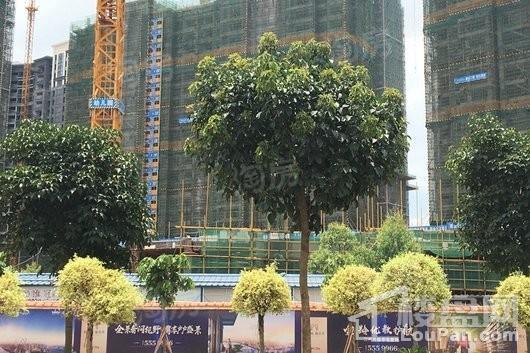 阳光城丽景湾实景图