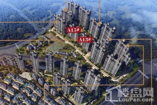 效果图