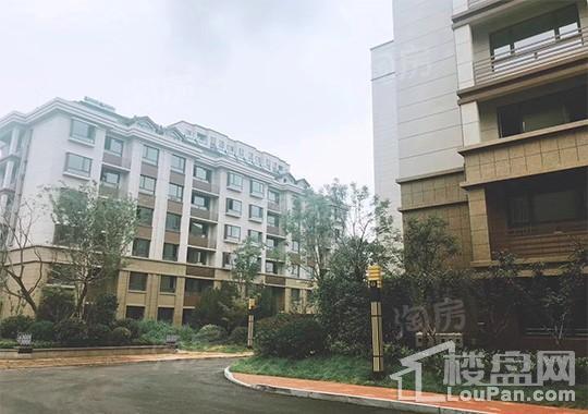 金科桃花源实景图