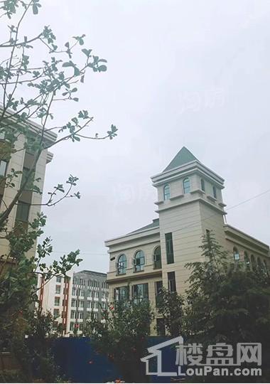 金科桃花源实景图
