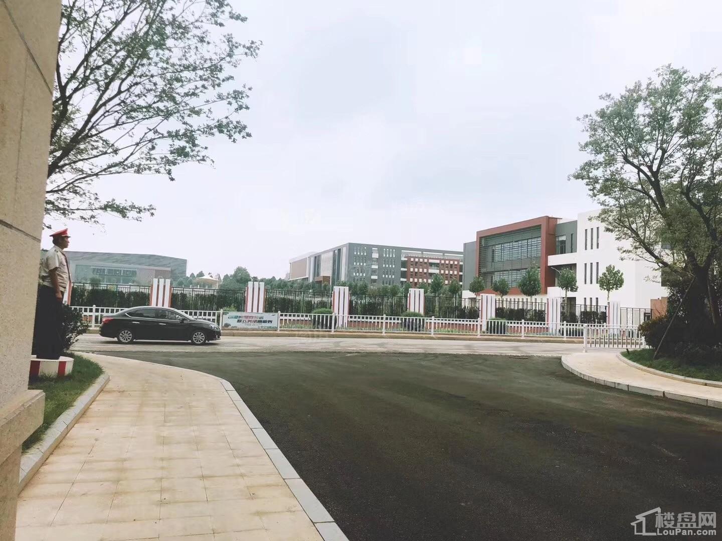 金科桃花源实景图