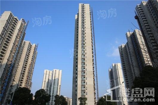 水漾花城花苑实景图