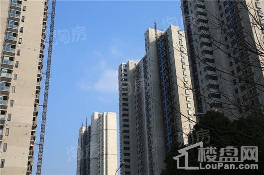 水漾花城花苑实景图