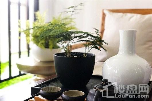 富力金禧悦城样板间