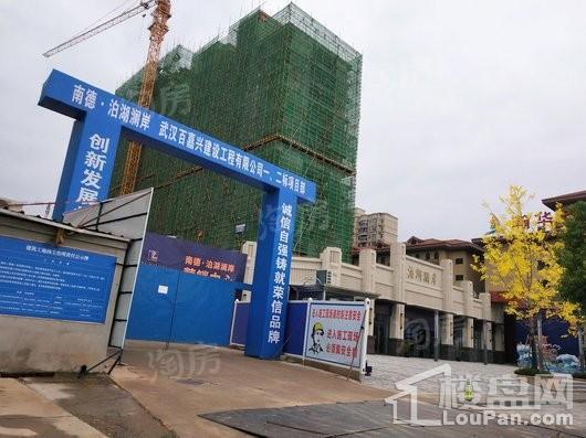 南德泊湖澜岸实景图