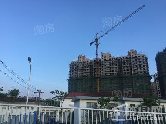 香槟壹号实景图