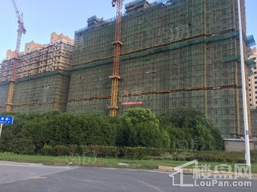香槟壹号实景图