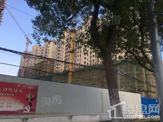 香槟壹号实景图