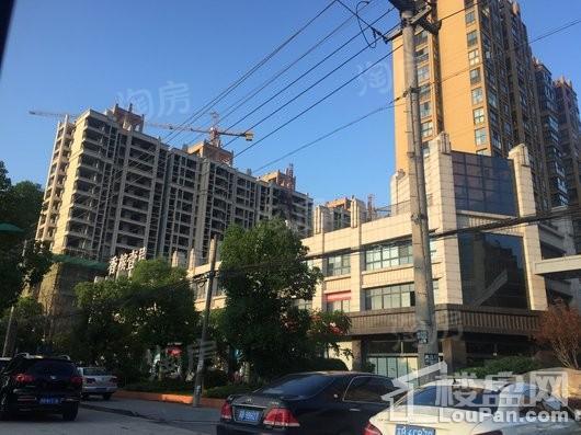 实景图