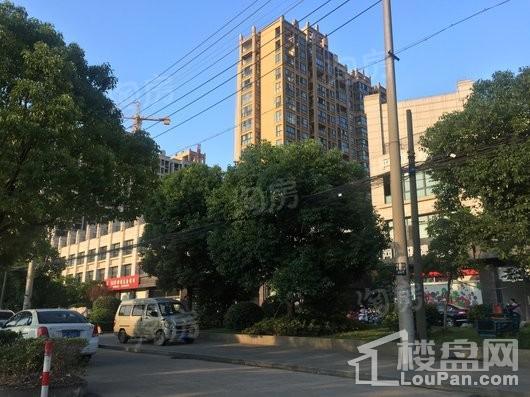 香槟壹号实景图