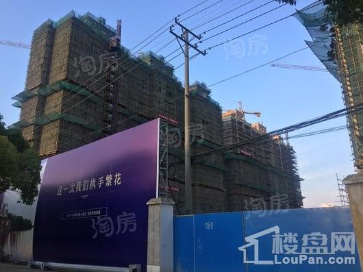 香槟壹号实景图