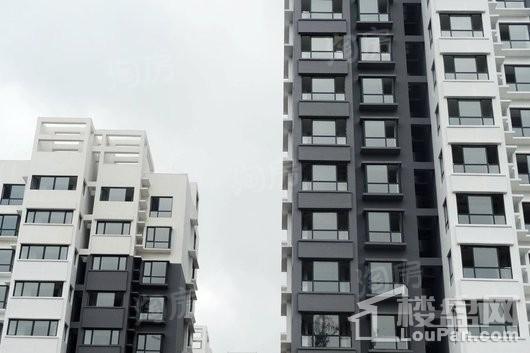 新都公园里实景图