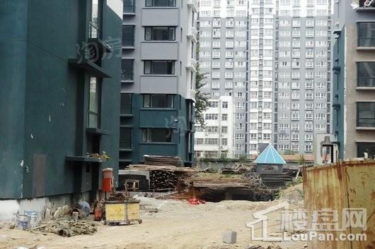 新都公园里实景图