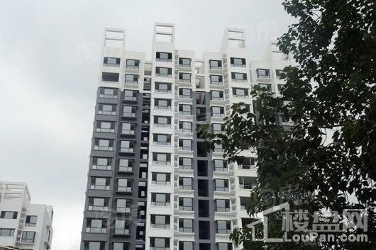 新都公园里实景图