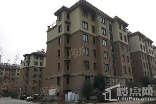 蓬莱锦泰玫瑰园实景图