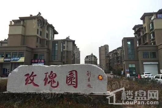 蓬莱锦泰玫瑰园实景图