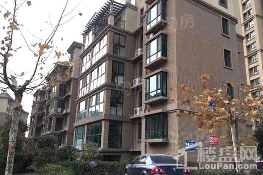 蓬莱锦泰玫瑰园实景图