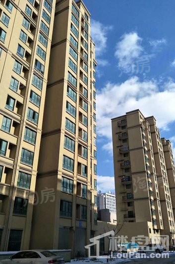 蓬莱锦泰玫瑰园实景图