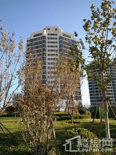 融创·果岭海岸实景图