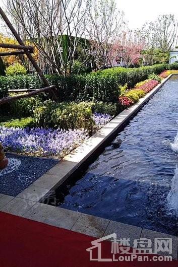 烟台恒大海上帝景实景图