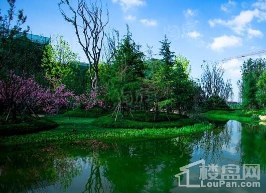 烟台恒大海上帝景实景图