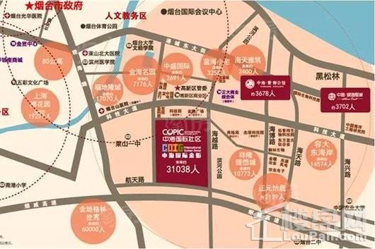 中海国际金街位置图