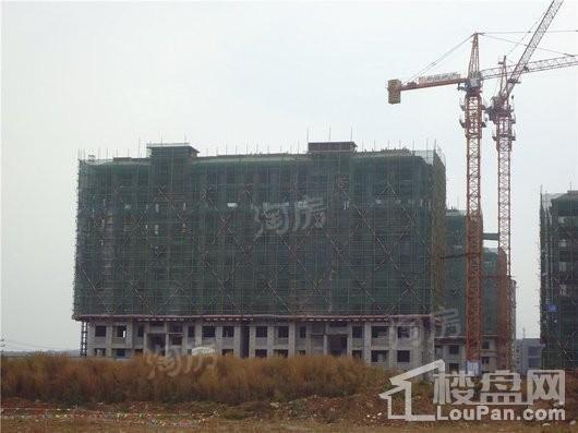 中海悦公馆商铺实景图