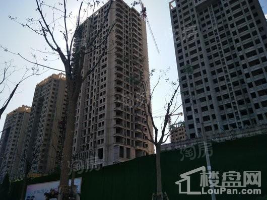 家合人家实景图