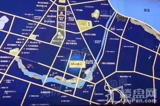 大华上海滩花园位置图
