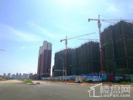 大华上海滩花园实景图