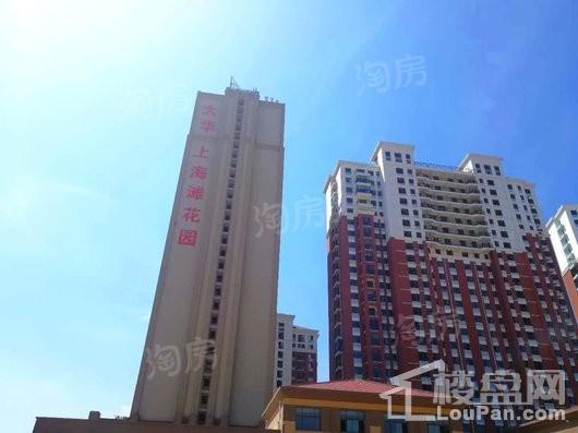大华上海滩花园实景图