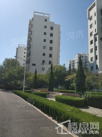 星海湖畔实景图