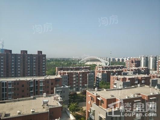 星海湖畔实景图